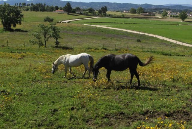 hiking in serra da estrela hiking in serra da estrela