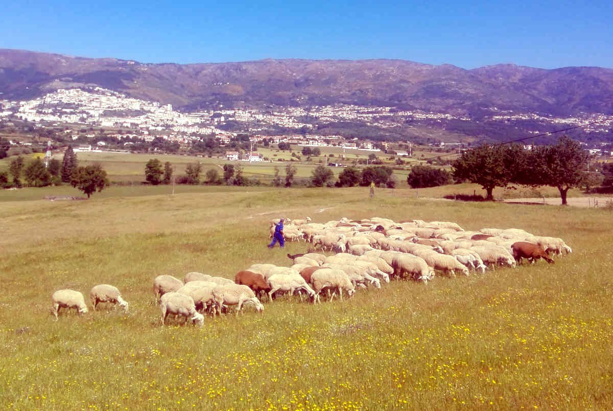 tours serra da estrela