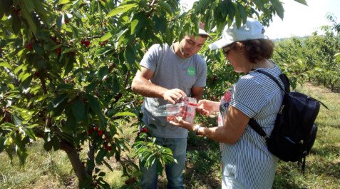 ExperiÊncias e turismo na covilhã ExperiÊncias e turismo na covilhã