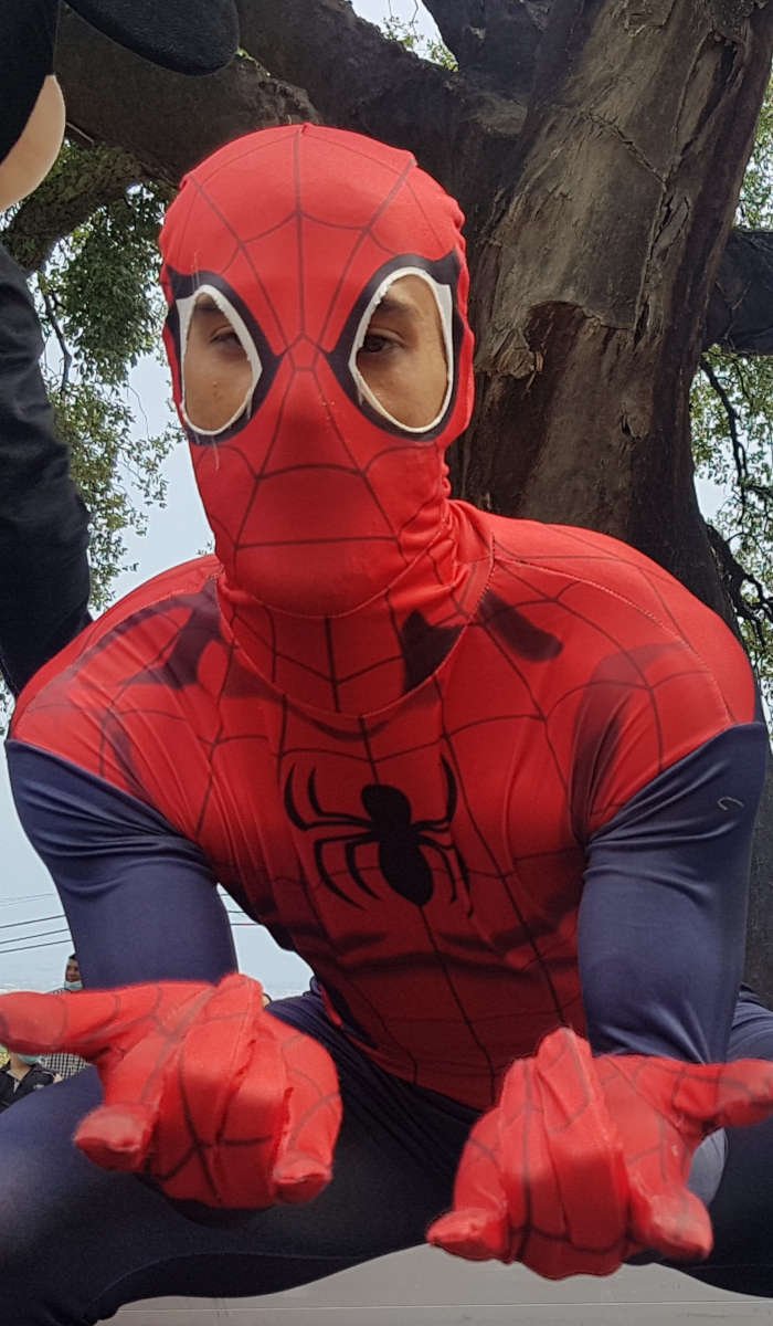 Homem-aranha