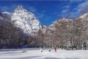 cantaro-magro-serra-estrela